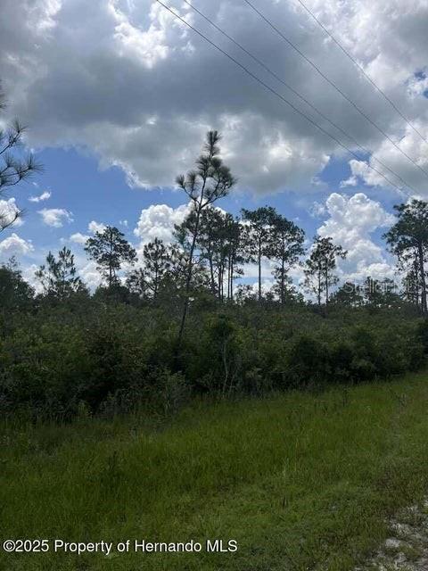 0 Ramsey Road Brooksville, FL 34614 - Photo 7 of 10 a view of a big yard