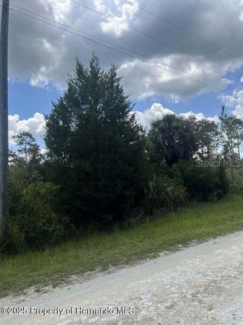 0 Ramsey Road Brooksville, FL 34614 - Photo 8 of 10 a view of a yard