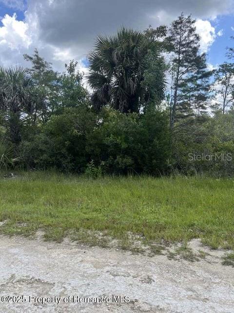 0 Ramsey Road Brooksville, FL 34614 - Photo 9 of 10