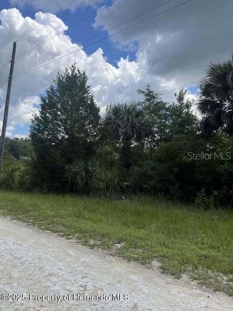 0 Ramsey Road Brooksville, FL 34614 - Photo 10 of 10 a view of a yard