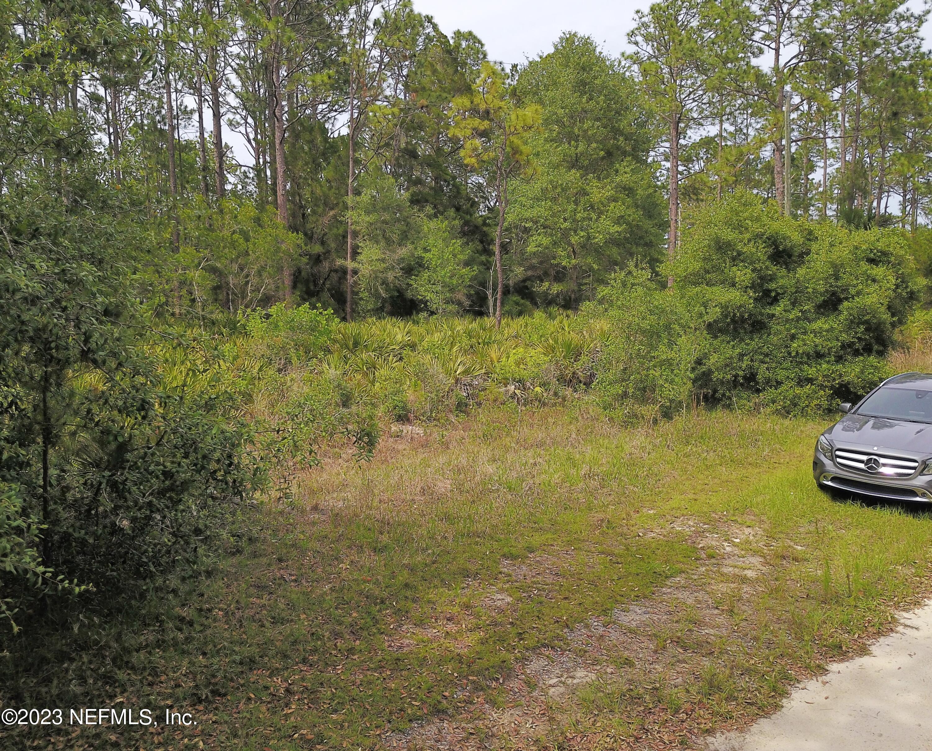 102 Maveerick Trail Interlachen, FL 32148 - Photo 11 of 15 11