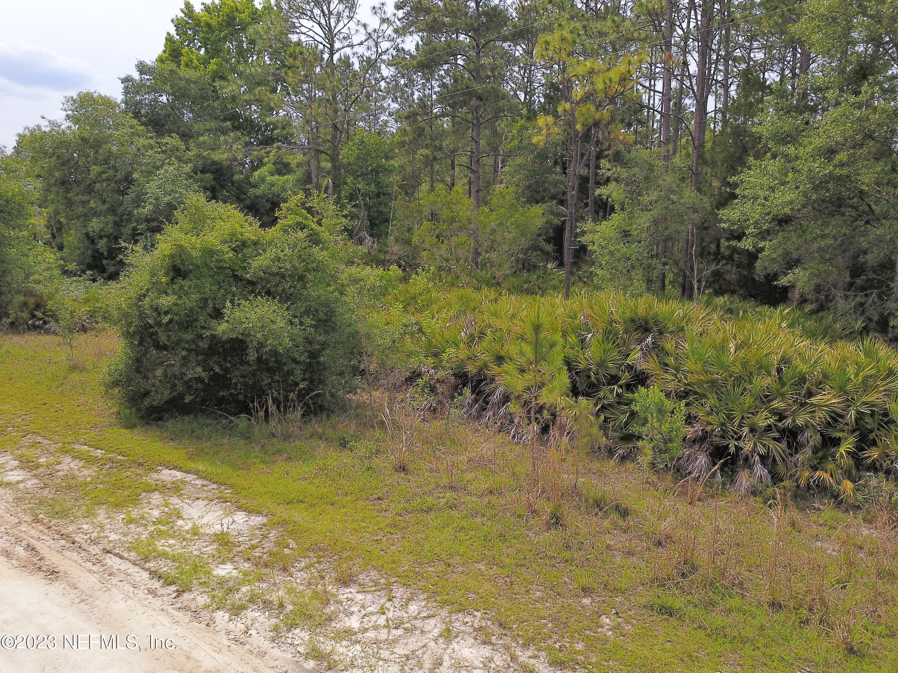 102 Maveerick Trail Interlachen, FL 32148 - Photo 12 of 15 12
