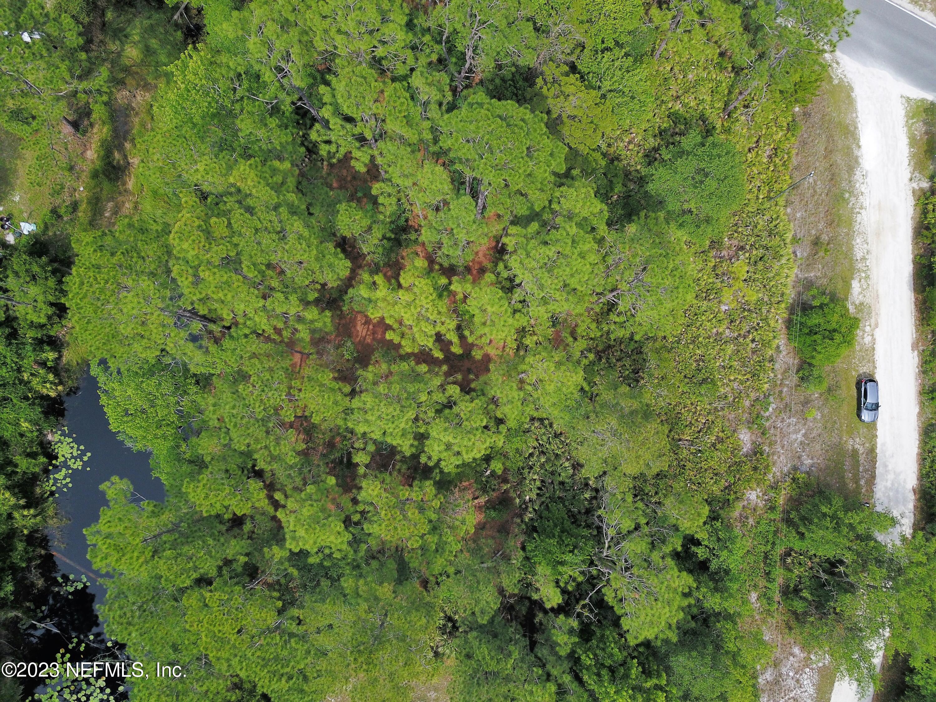 102 Maveerick Trail Interlachen, FL 32148 - Photo 3 of 15 3