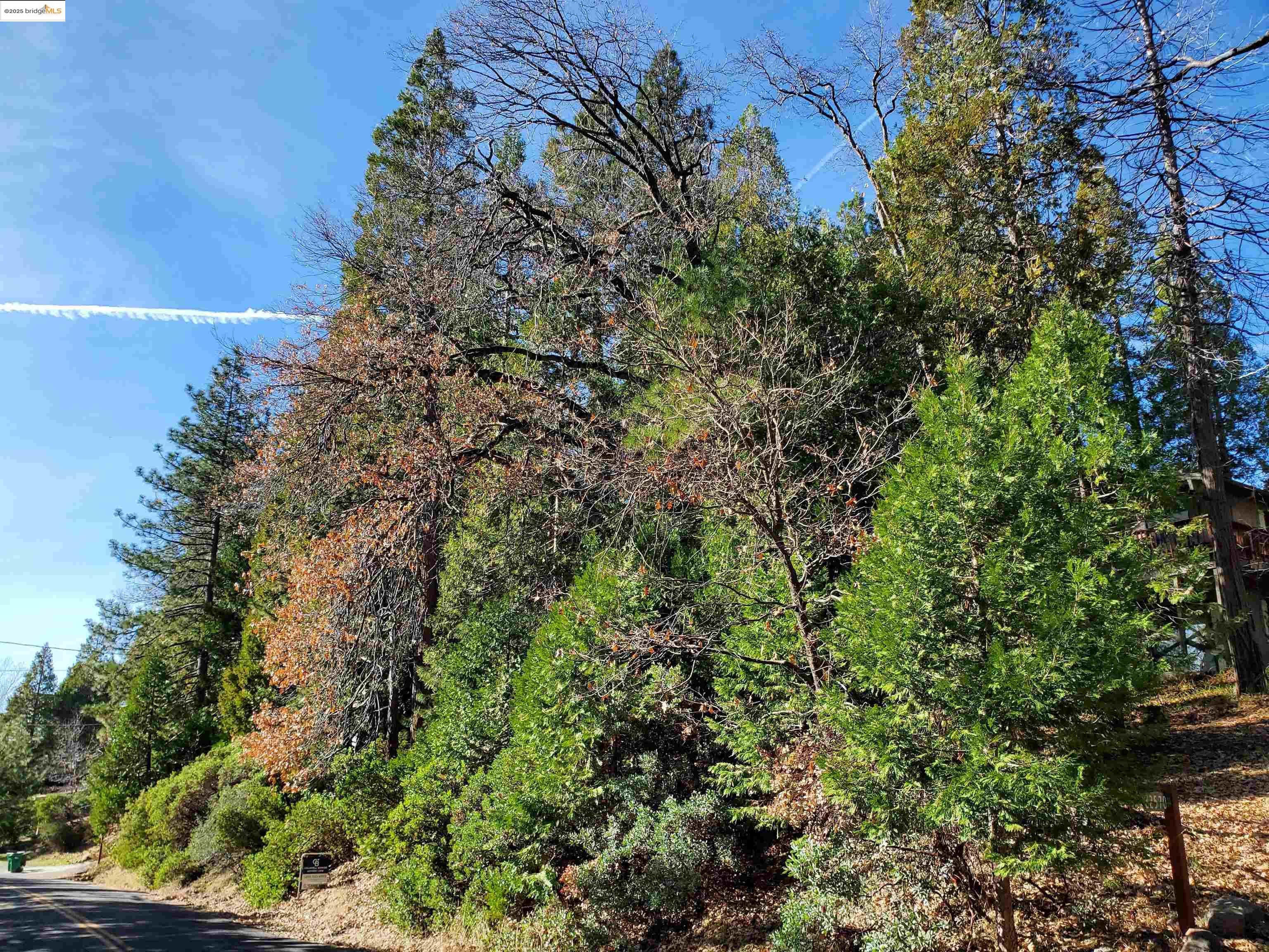 22558 Confidence Road Twain Harte, CA 95383 - Photo 1 of 3 View of wooded area