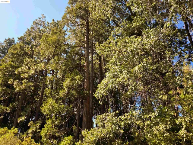 $49,900 | 22558 Confidence Road, Twain Harte, CA 95383