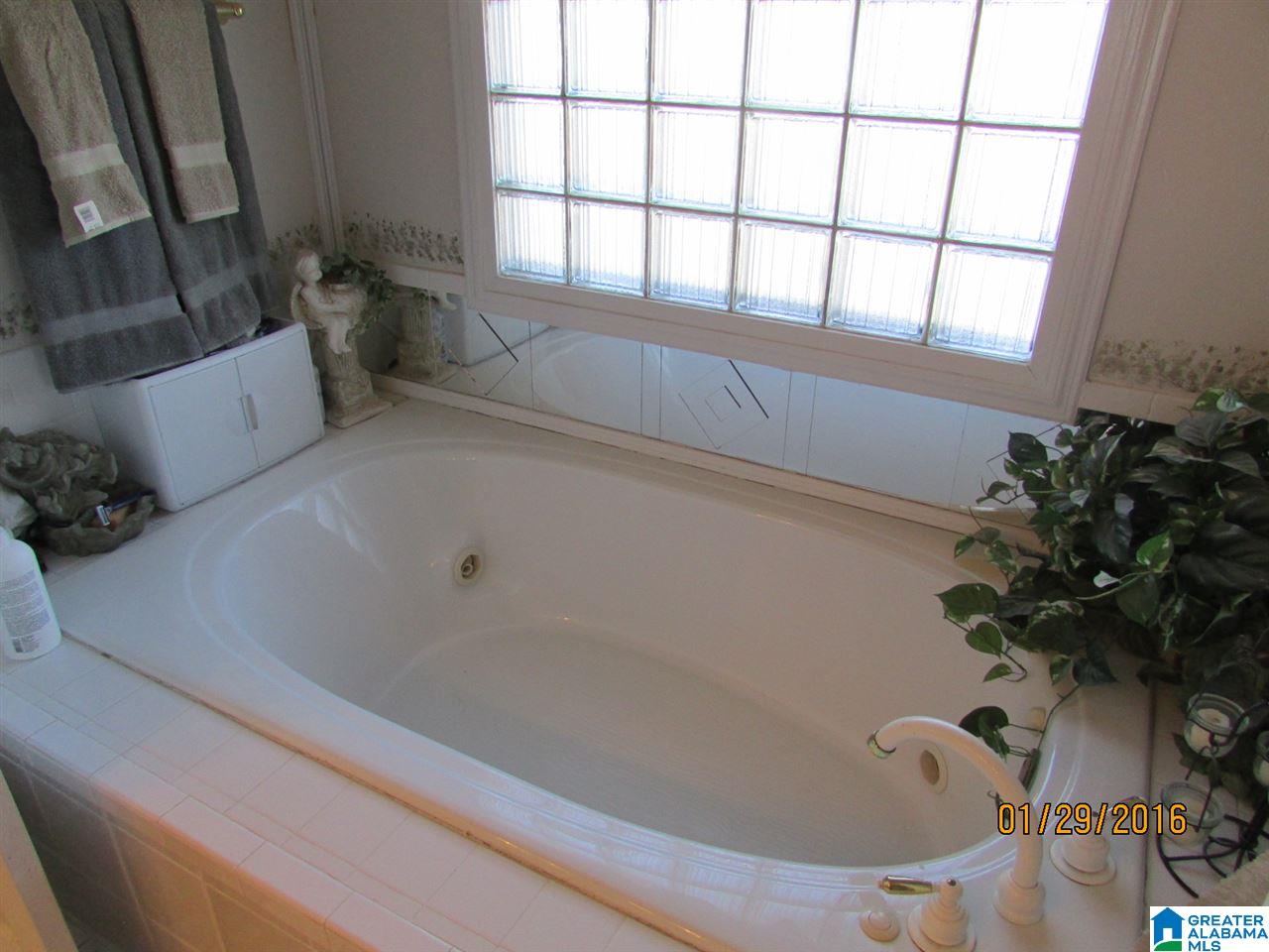 2040 Mohawk Cliff Road Ohatchee, AL 36271 - Photo 38 of 48