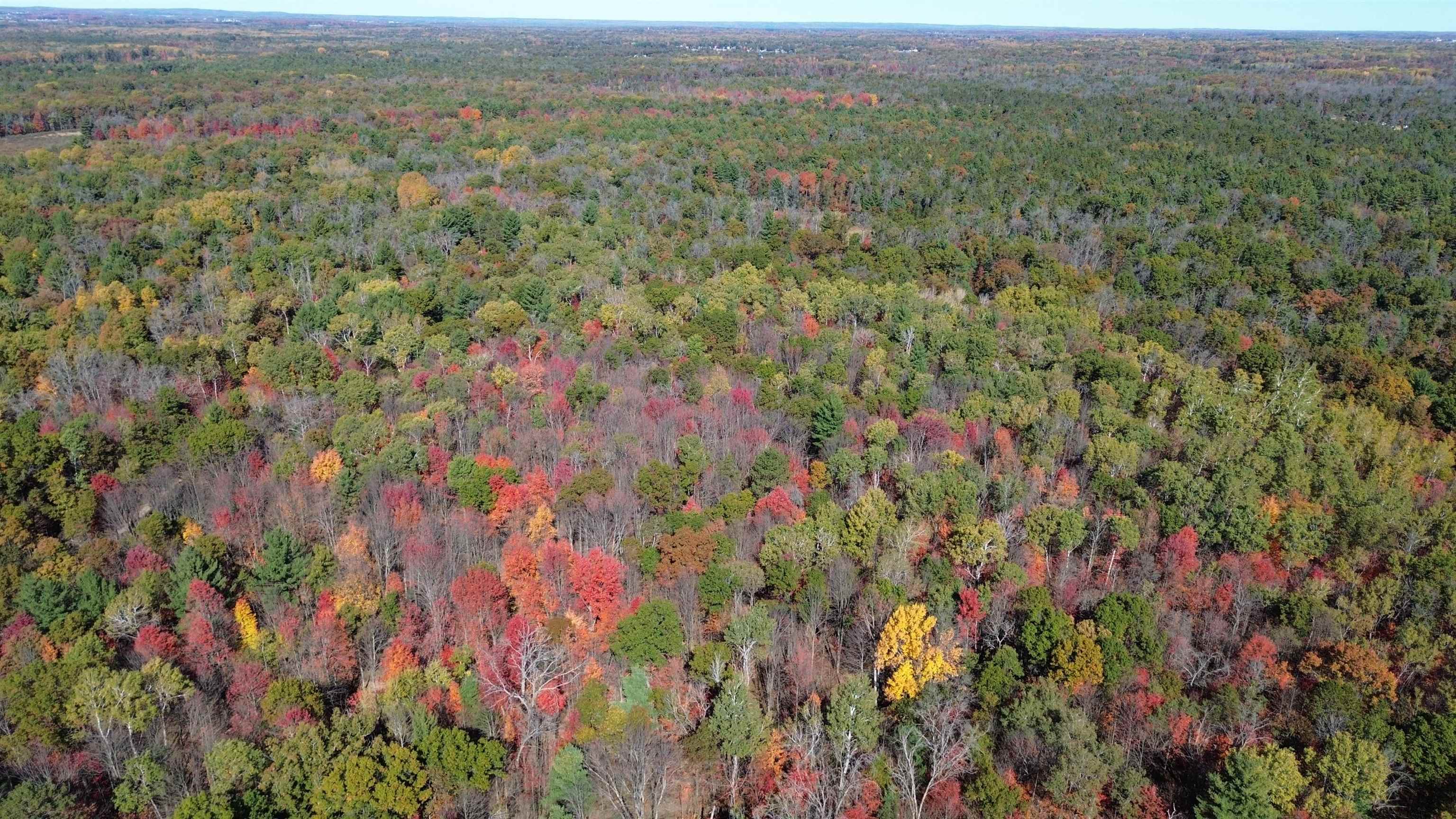 0 Timber Trail Prescott, MI 48756 - Photo 8 of 44
