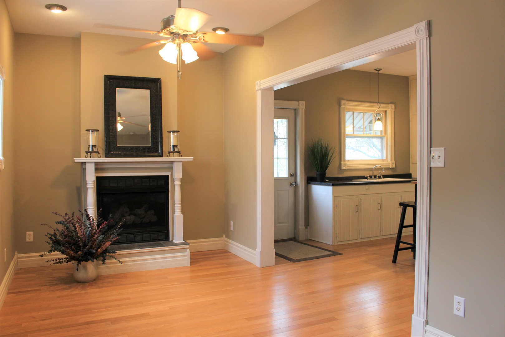115 East Liberty Street Grand Ridge, IL 61325 - Photo 12 of 29
