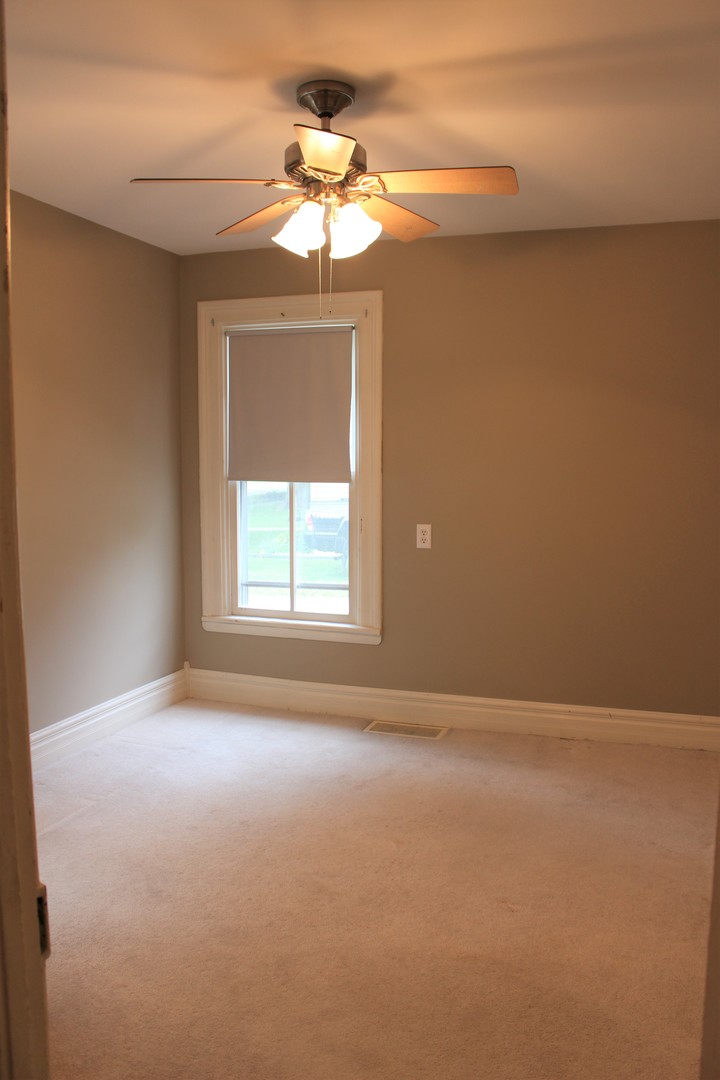 115 East Liberty Street Grand Ridge, IL 61325 - Photo 19 of 29