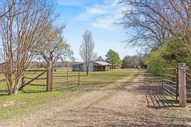 a view of backyard with green space