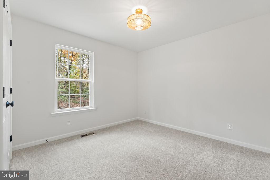 29727 New Hampshire Road Rhoadesville, VA 22542 - Photo 17 of 46