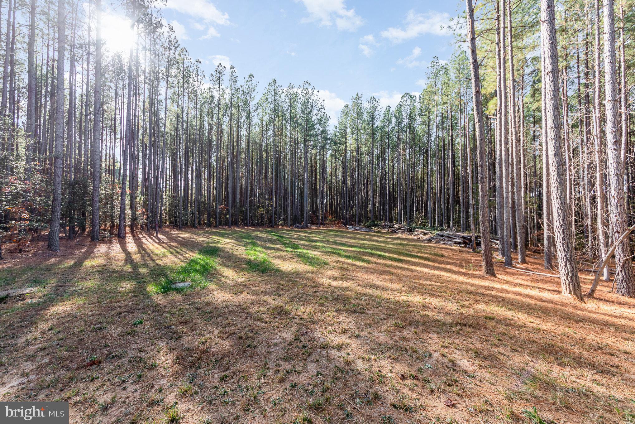 11514 Taylor Ridge Way Spotsylvania, VA 22551 - Photo 36 of 36