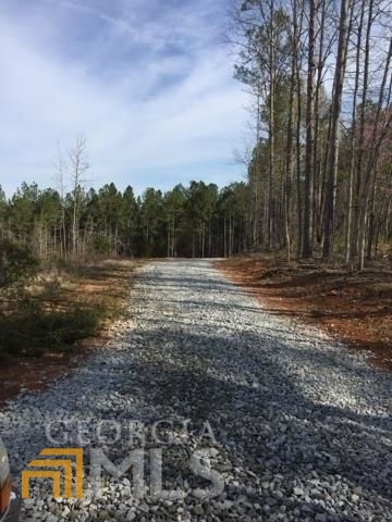 0 Calhoun Road Dewy Rose, GA 30634 - Photo 1 of 1