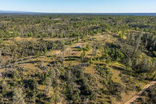 a view of city with ocean