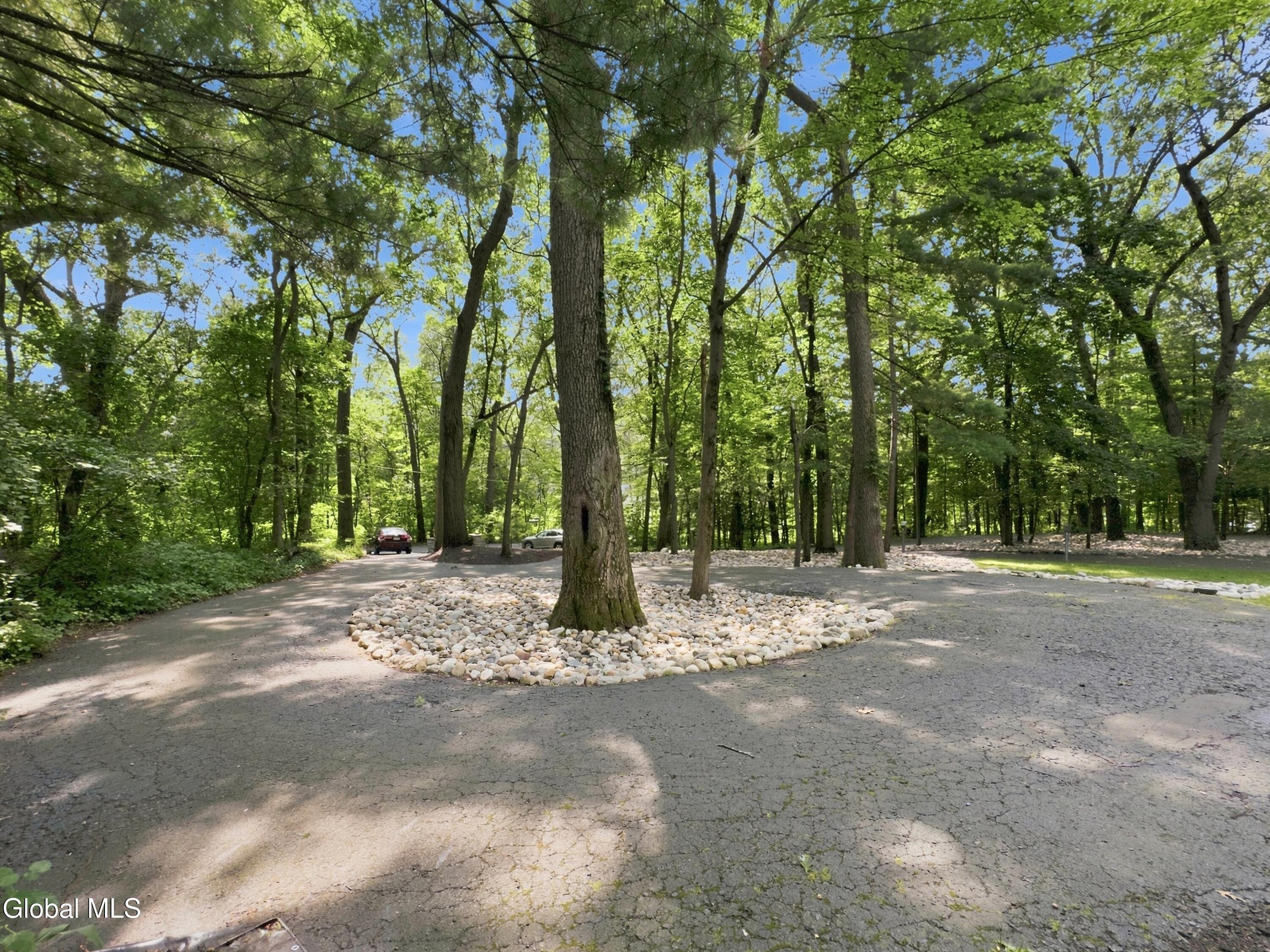 7 Hills Road Colonie, NY 12211 - Photo 63 of 83 DSC_4673