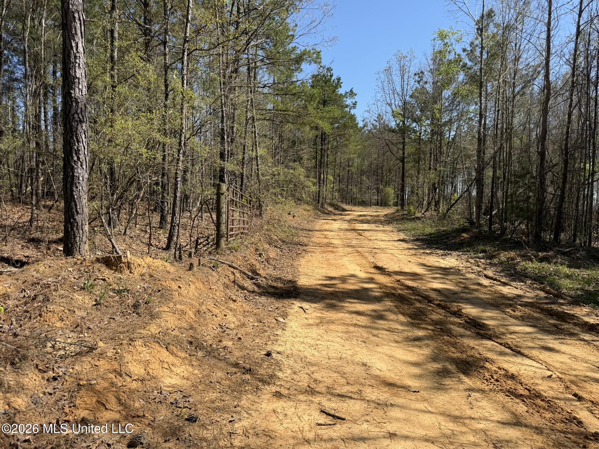 4102 County Road Goodman, MS 39079 - Photo 1 of 22 IMG_0491