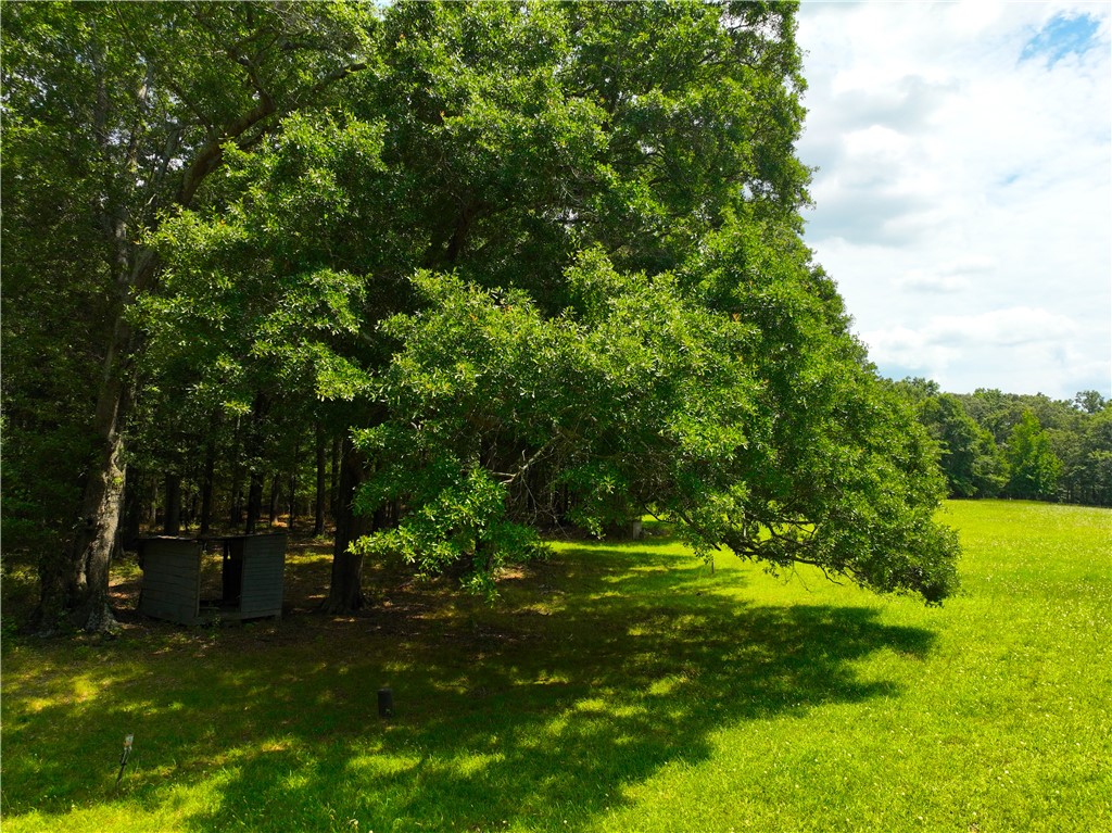 1198 Mize Road Belton, SC 29627 - Photo 26 of 50