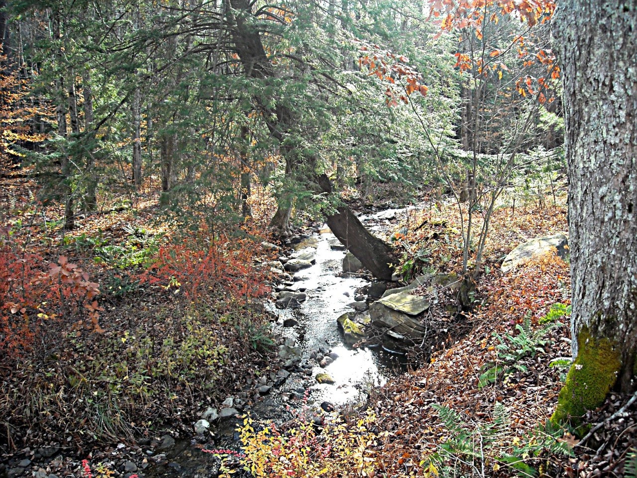 210 Hupi Road Monterey, MA 01245 - Photo 28 of 39
