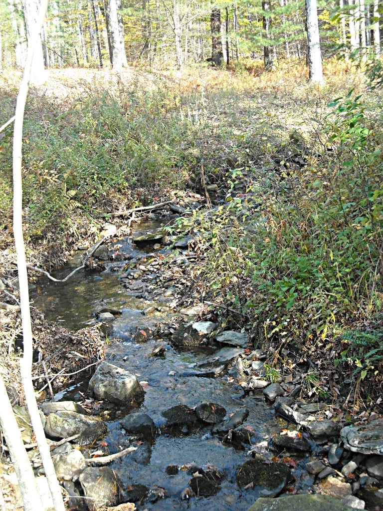 210 Hupi Road Monterey, MA 01245 - Photo 29 of 39 a view of a lake view