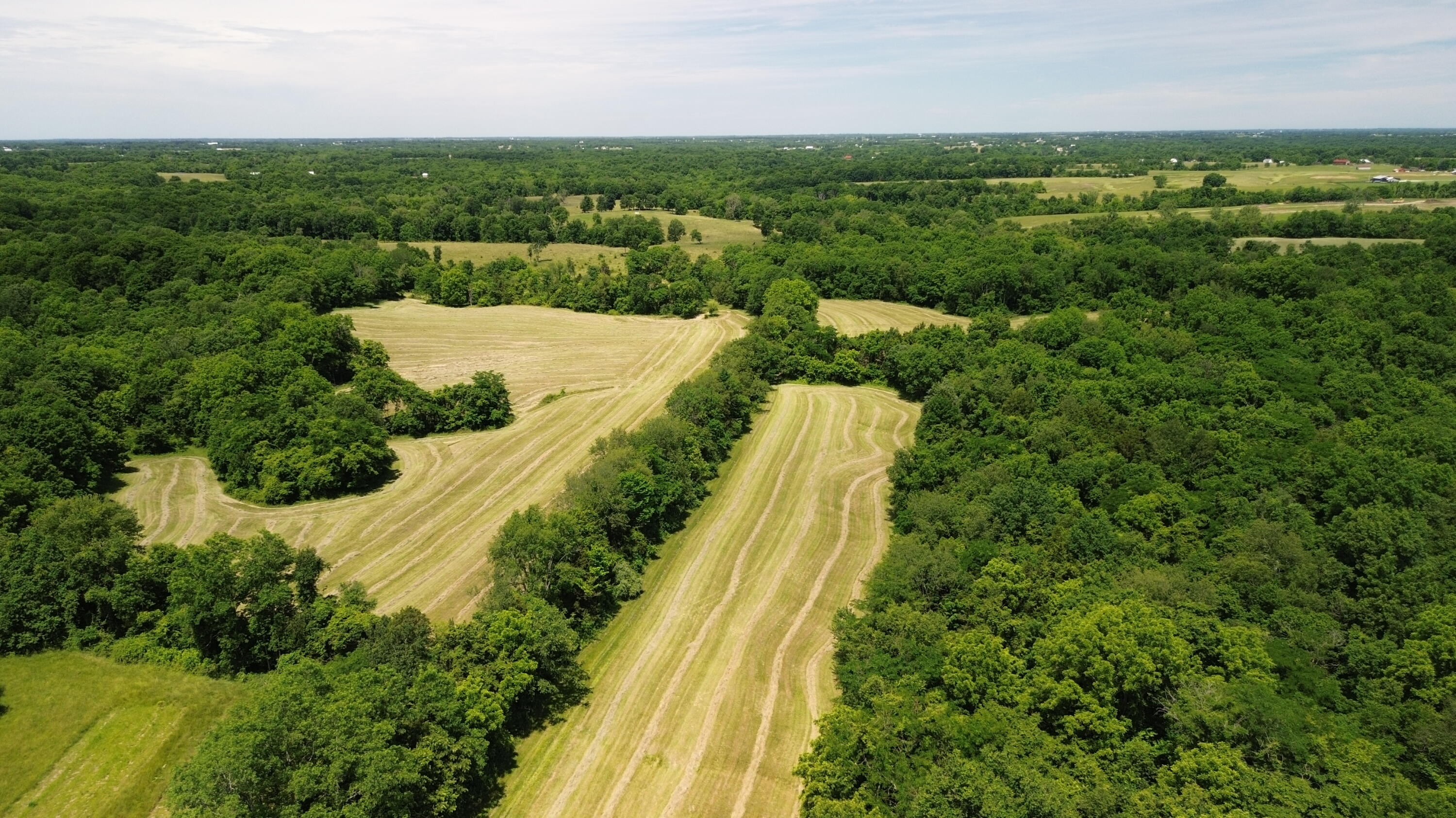 9999 Cedarmore Road Bagdad, KY 40003 - Photo 4 of 24 dji_fly_20260531_122432_429_178024470309