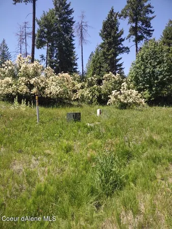 $209,000 | Lot 28 Wood Duck Lane, Bonners Ferry, ID 83805