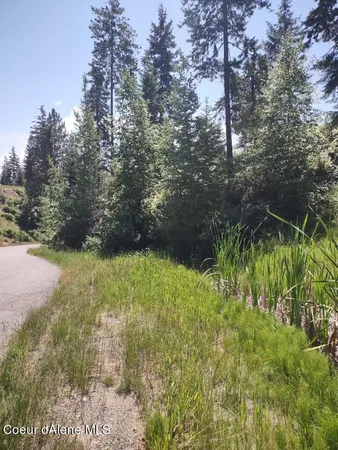 $209,000 | Lot 28 Wood Duck Lane, Bonners Ferry, ID 83805