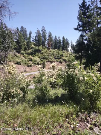 $209,000 | Lot 28 Wood Duck Lane, Bonners Ferry, ID 83805