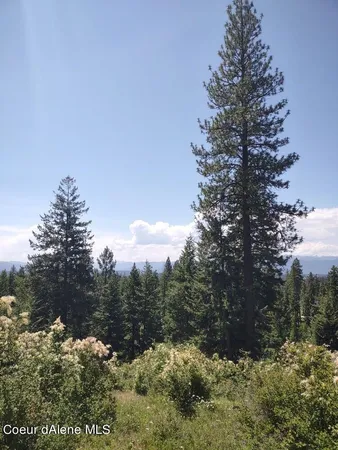 $209,000 | Lot 28 Wood Duck Lane, Bonners Ferry, ID 83805