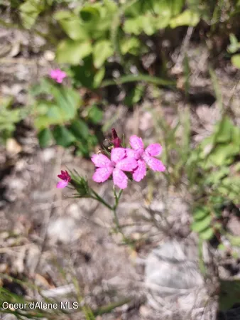 $209,000 | Lot 28 Wood Duck Lane, Bonners Ferry, ID 83805