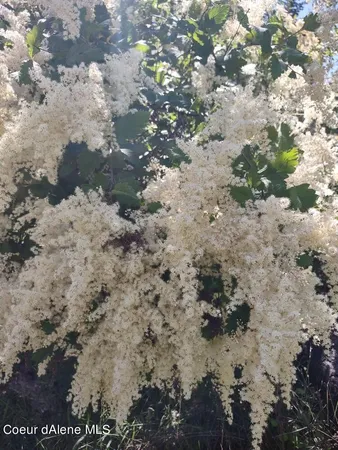 $209,000 | Lot 28 Wood Duck Lane, Bonners Ferry, ID 83805