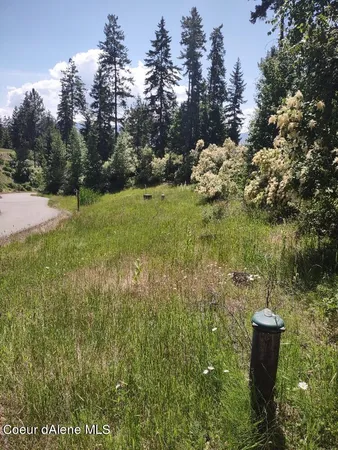 $209,000 | Lot 28 Wood Duck Lane, Bonners Ferry, ID 83805