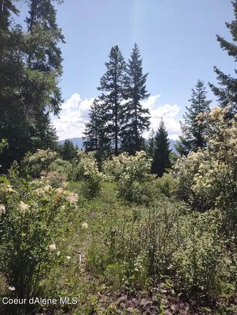 $209,000 | Lot 28 Wood Duck Lane, Bonners Ferry, ID 83805