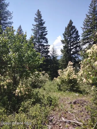 $209,000 | Lot 28 Wood Duck Lane, Bonners Ferry, ID 83805