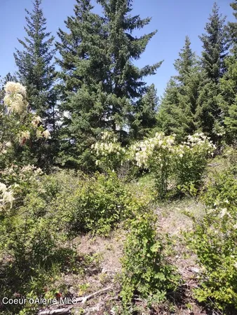$209,000 | Lot 28 Wood Duck Lane, Bonners Ferry, ID 83805