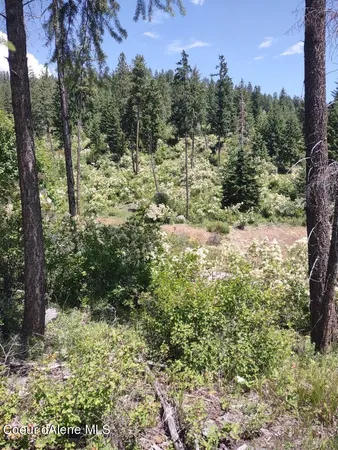 $209,000 | Lot 28 Wood Duck Lane, Bonners Ferry, ID 83805