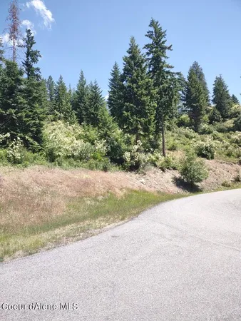 $209,000 | Lot 28 Wood Duck Lane, Bonners Ferry, ID 83805