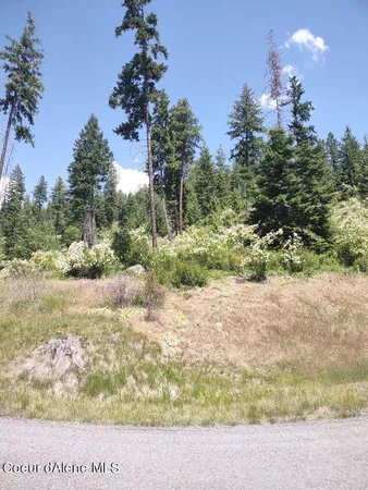 $209,000 | Lot 28 Wood Duck Lane, Bonners Ferry, ID 83805