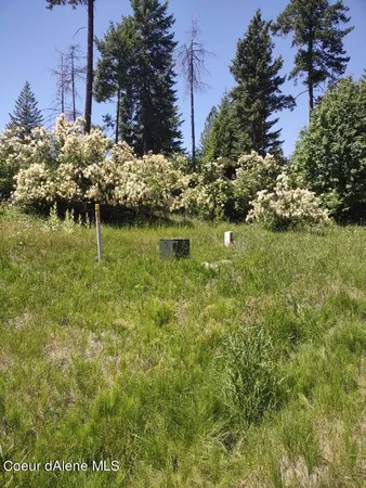 $209,000 | Lot 28 Wood Duck Lane, Bonners Ferry, ID 83805