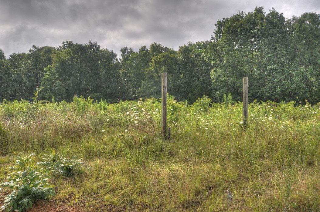 0 Clifton Scott Road Primm Springs, TN 38476 - Photo 12 of 28 Gallery Image 12