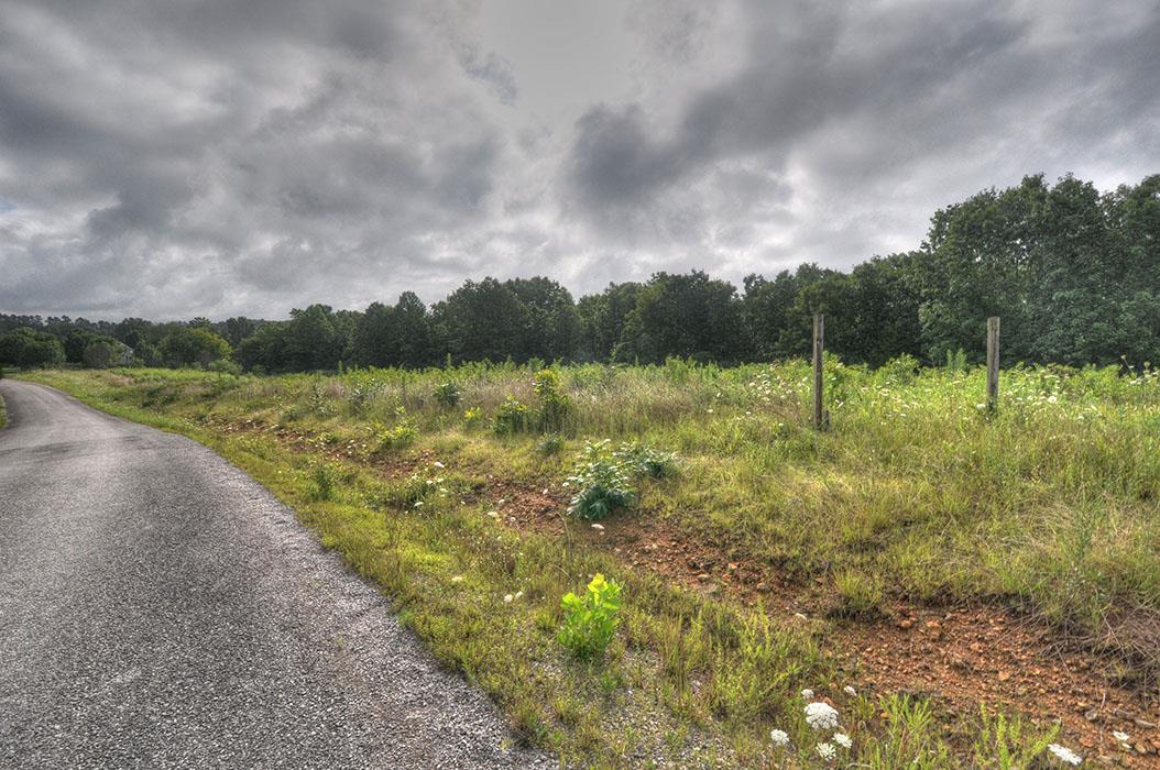 0 Clifton Scott Road Primm Springs, TN 38476 - Photo 13 of 28 Gallery Image 13