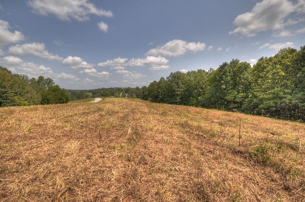 0 Clifton Scott Road Primm Springs, TN 38476 - Photo 15 of 28 Gallery Image 15