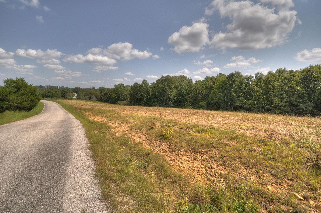 0 Clifton Scott Road Primm Springs, TN 38476 - Photo 16 of 28 Gallery Image 16
