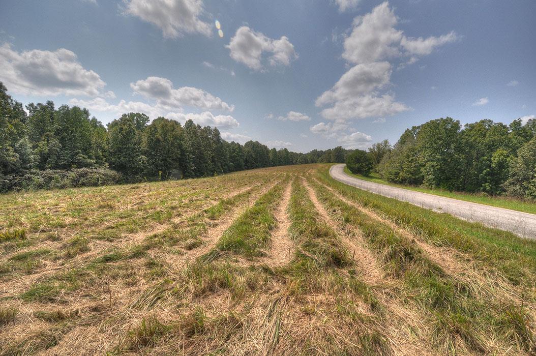 0 Clifton Scott Road Primm Springs, TN 38476 - Photo 17 of 28 Gallery Image 17