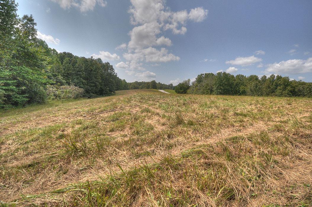 0 Clifton Scott Road Primm Springs, TN 38476 - Photo 18 of 28 Gallery Image 18