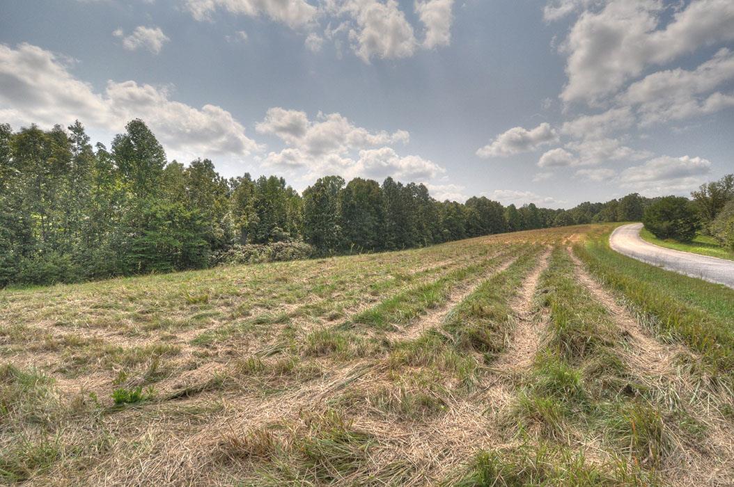 0 Clifton Scott Road Primm Springs, TN 38476 - Photo 19 of 28 Gallery Image 19