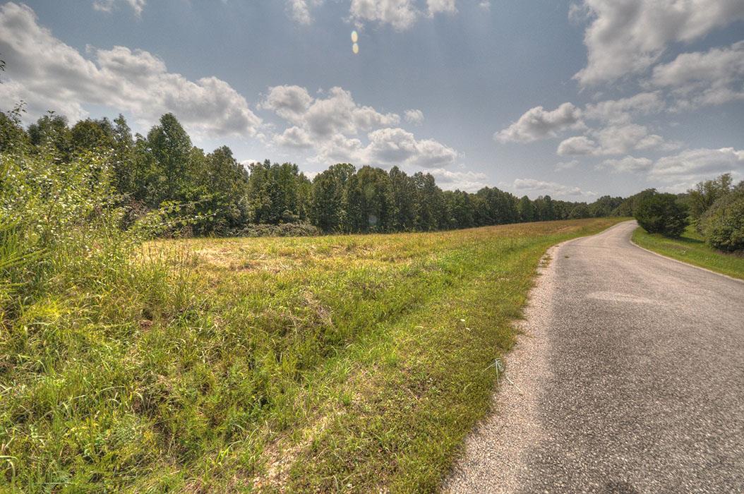 0 Clifton Scott Road Primm Springs, TN 38476 - Photo 20 of 28 Gallery Image 20