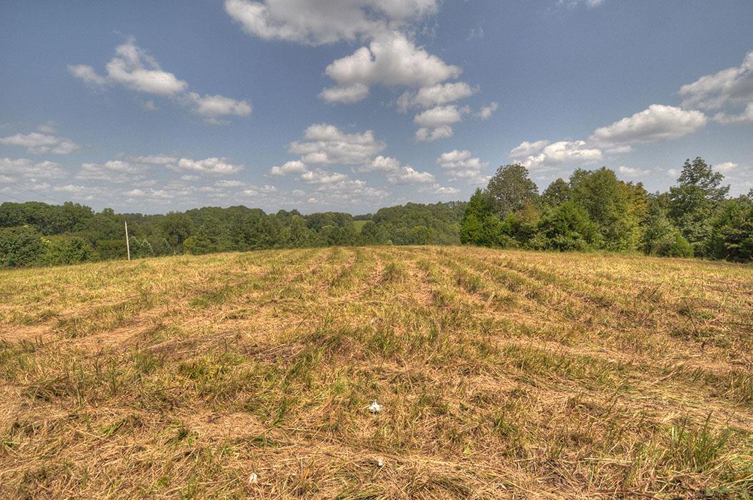 0 Clifton Scott Road Primm Springs, TN 38476 - Photo 21 of 28 Gallery Image 21