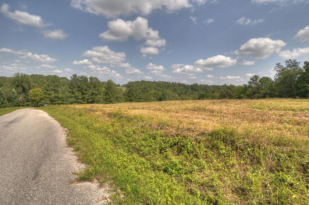 0 Clifton Scott Road Primm Springs, TN 38476 - Photo 22 of 28 Gallery Image 22