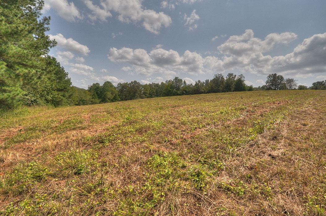 0 Clifton Scott Road Primm Springs, TN 38476 - Photo 23 of 28 Gallery Image 23