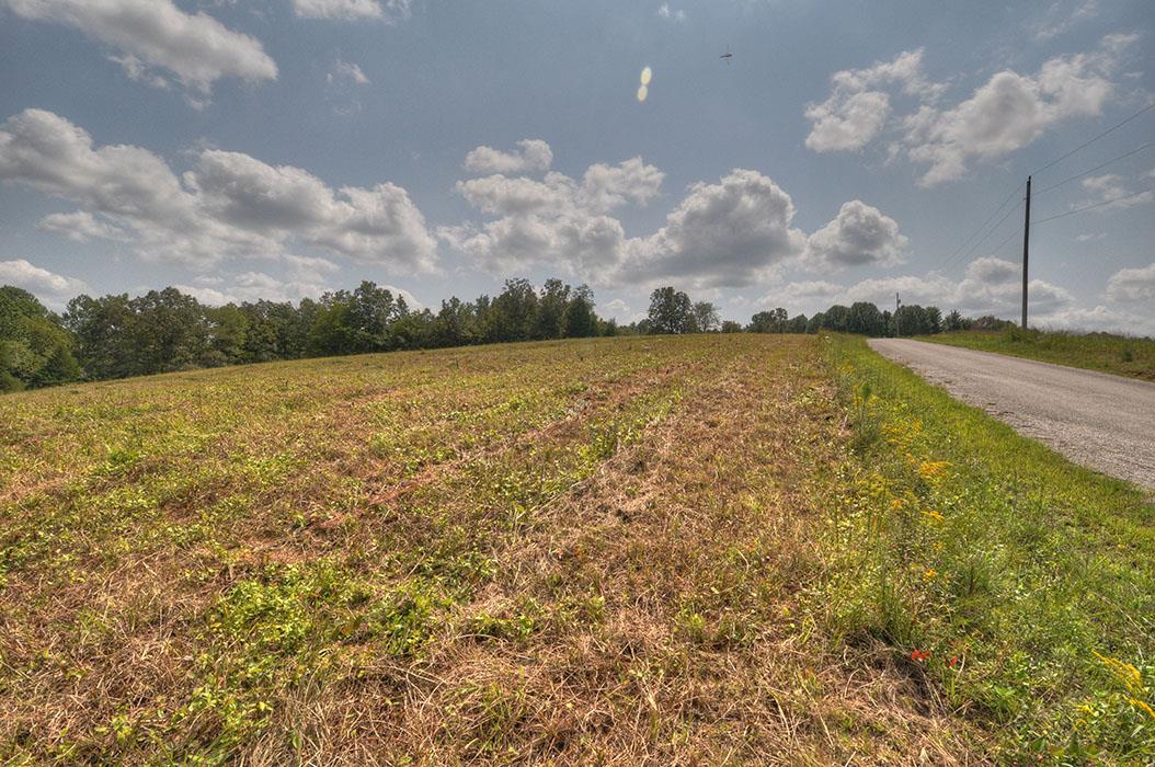 0 Clifton Scott Road Primm Springs, TN 38476 - Photo 24 of 28 Gallery Image 24